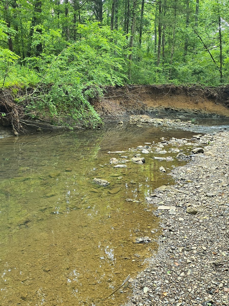 Sulphur Creek Trail