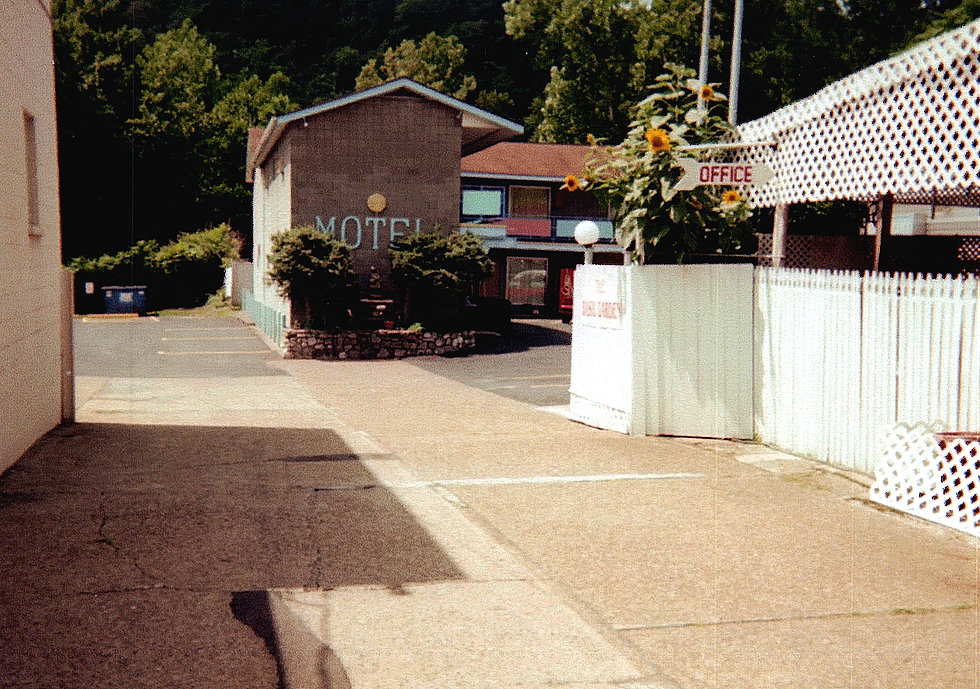 Grove Terrace Motel photo 3