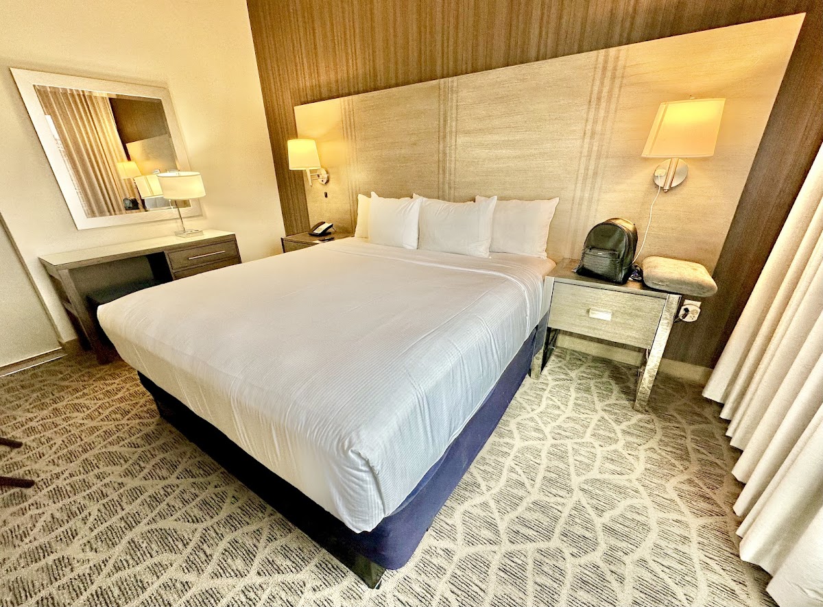 Embassy Suites by Hilton The Woodlands® at Hughes Landing photo 2