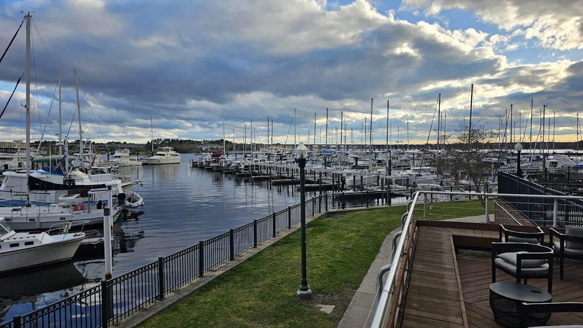 DoubleTree by Hilton Hotel New Bern Riverfront photo 3