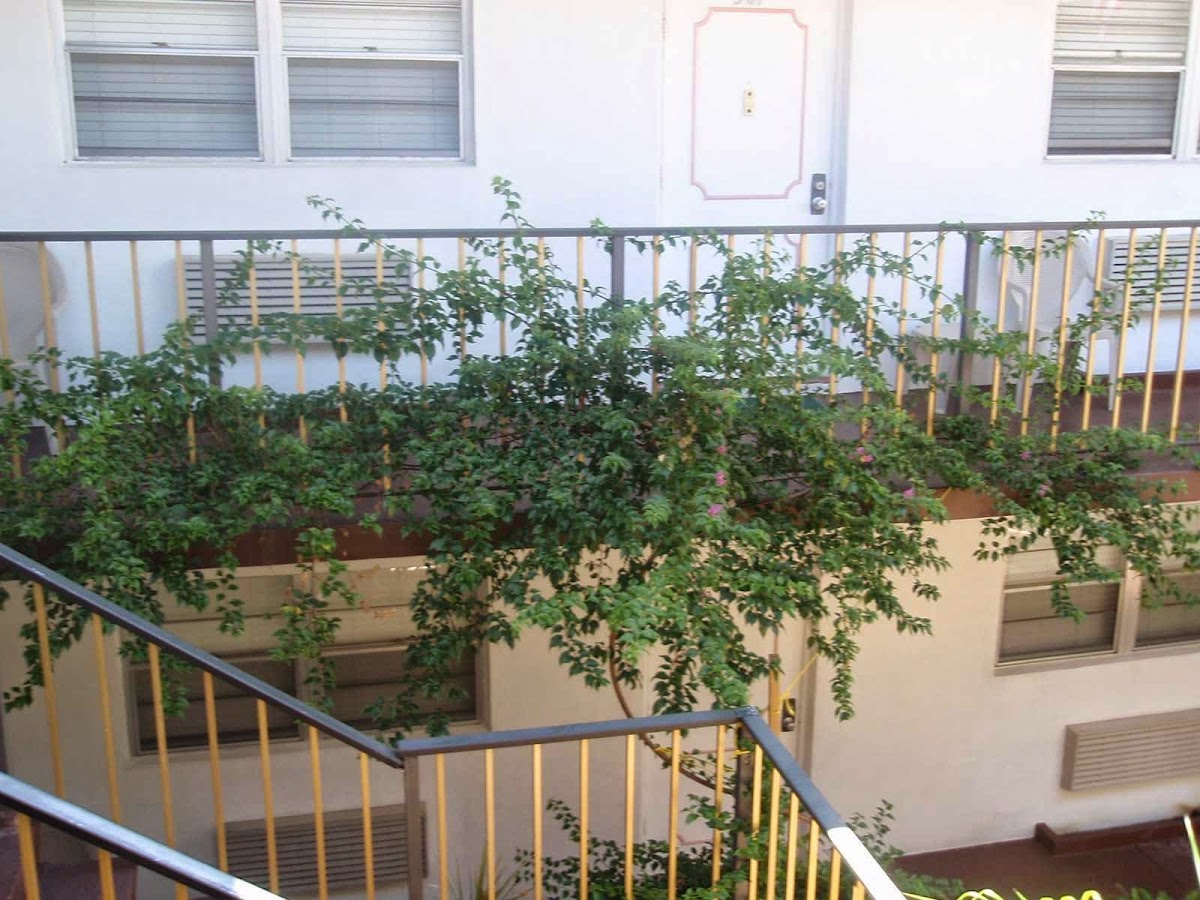 Richard's Motel Studios photo 3
