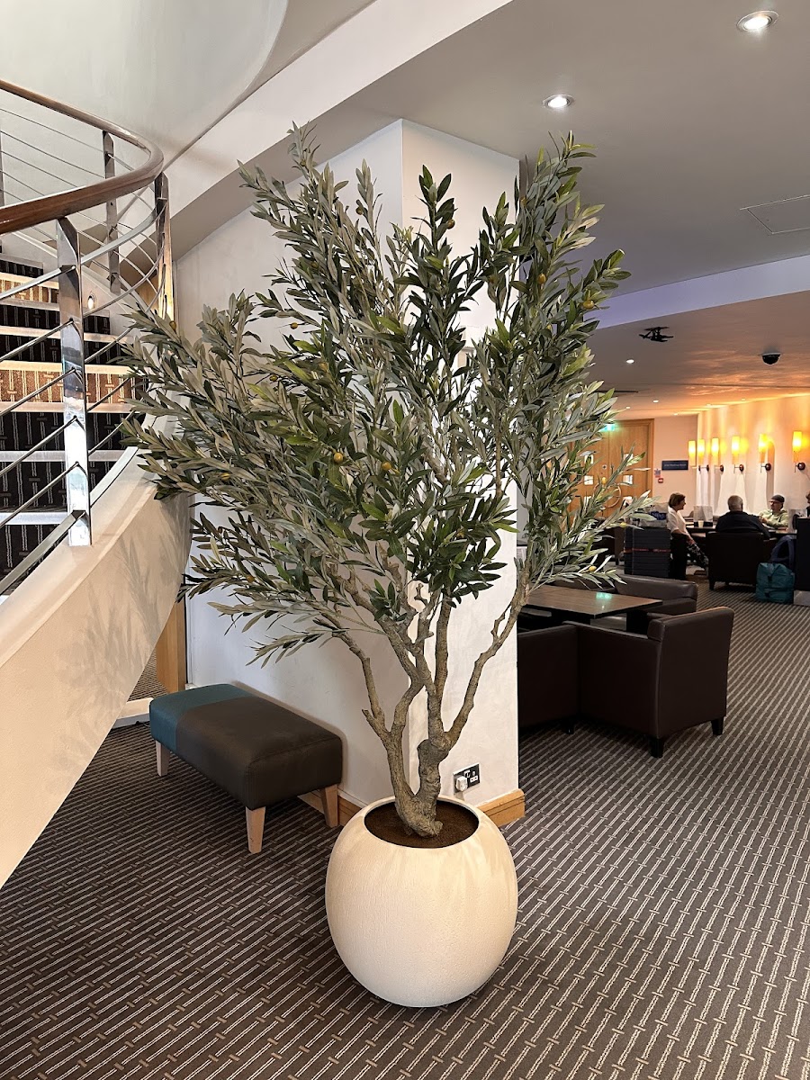 Best Western London Heathrow Ariel Hotel photo 3