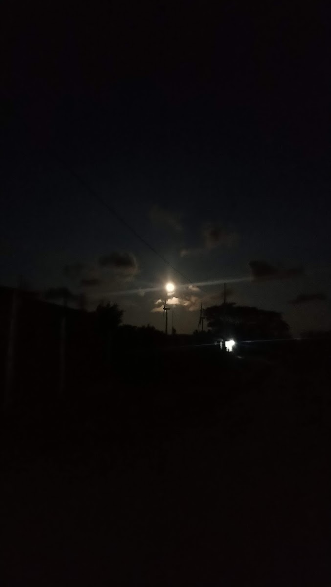 Motel bixudu photo 3