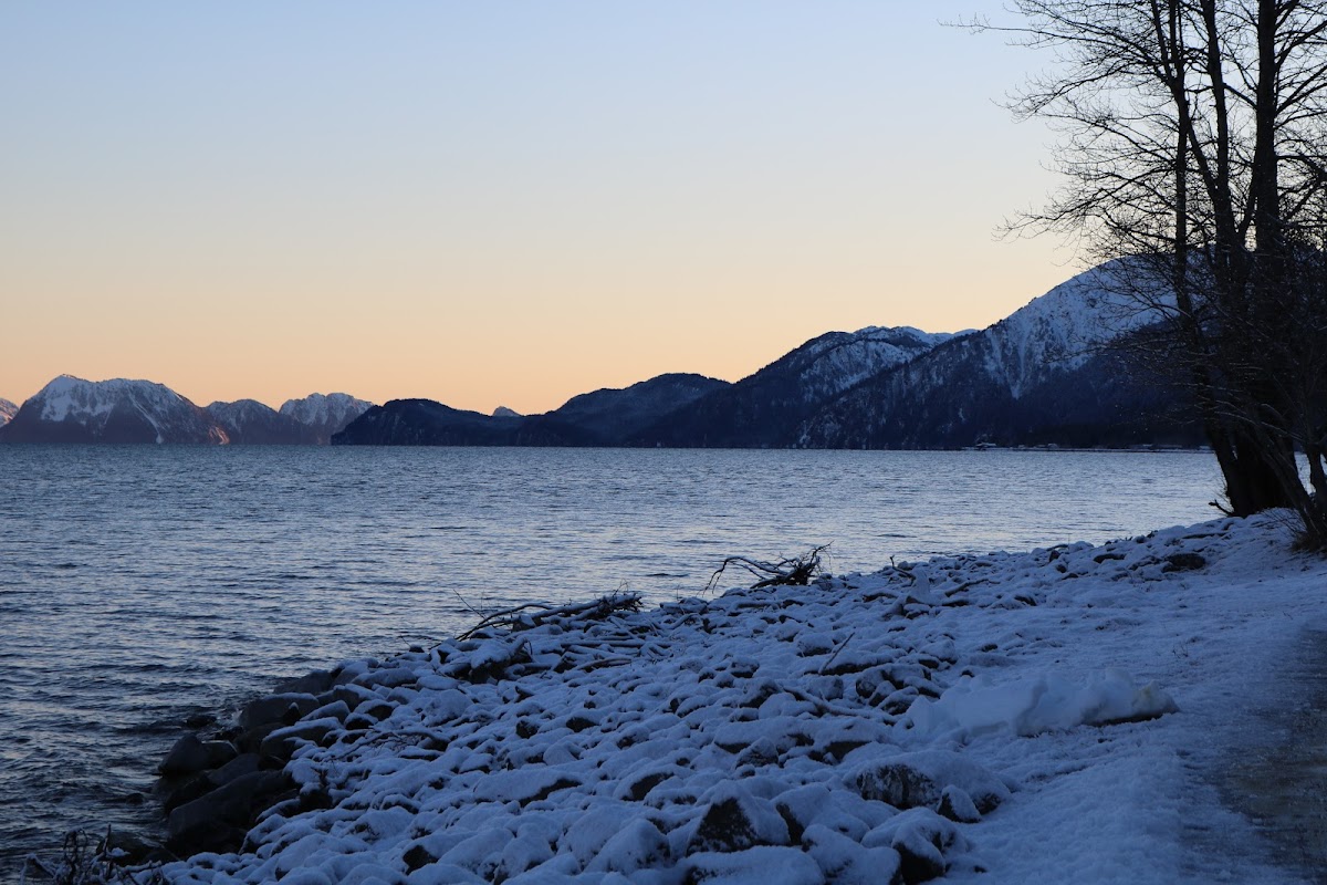 Spruce Lodge photo 3
