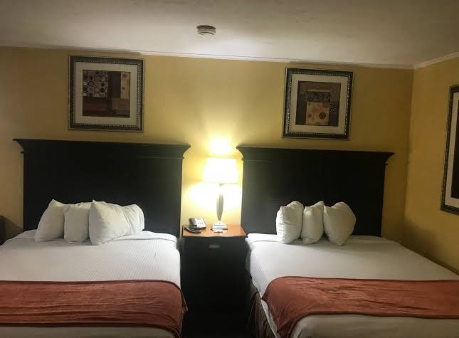 Hotel Vernon photo 3
