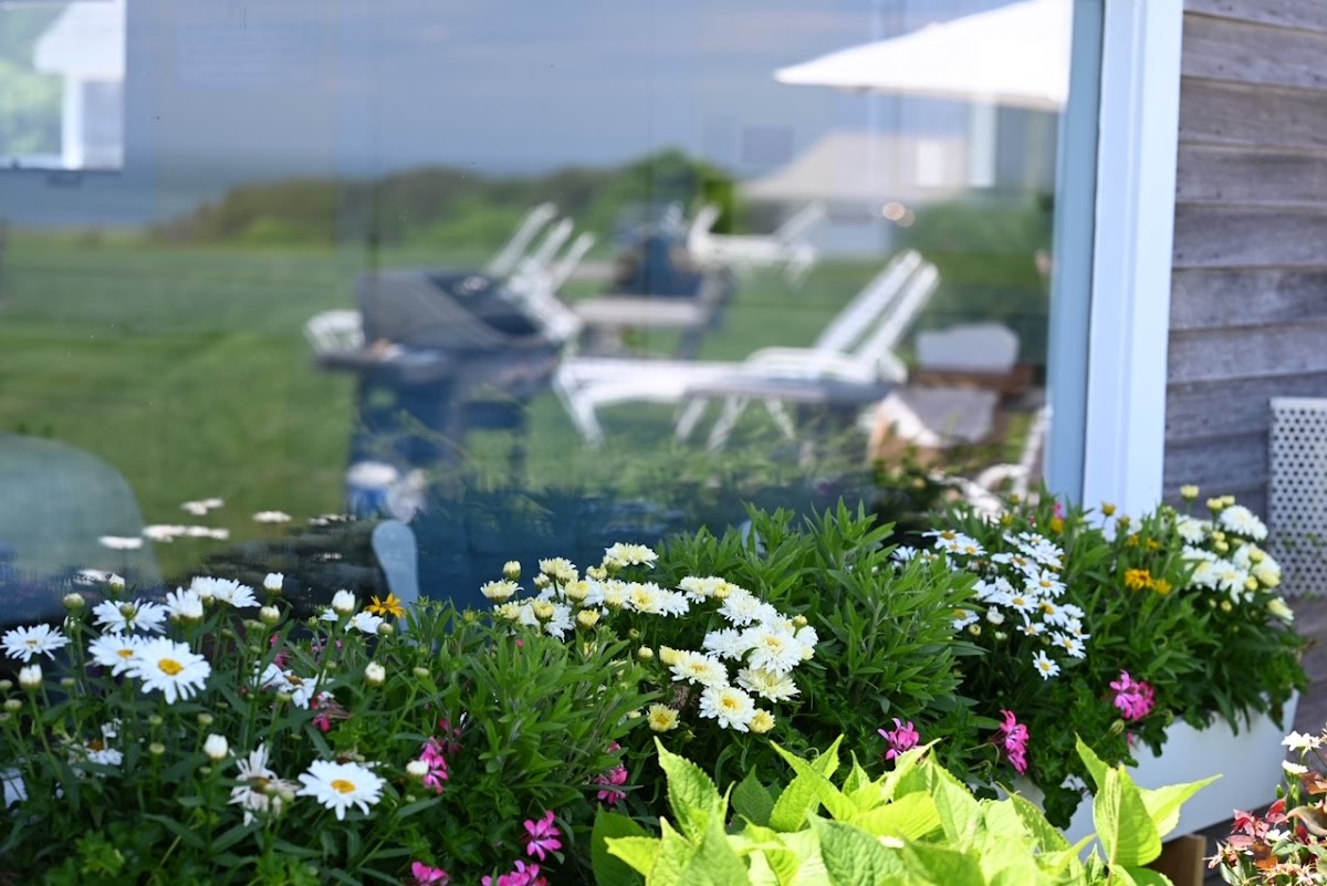 Nauset Beach Inn photo 3