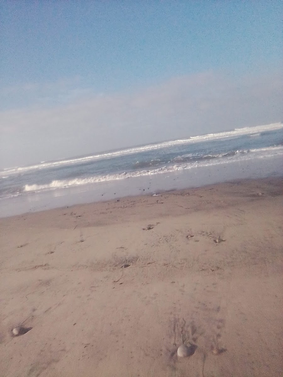 Playa San Ramon