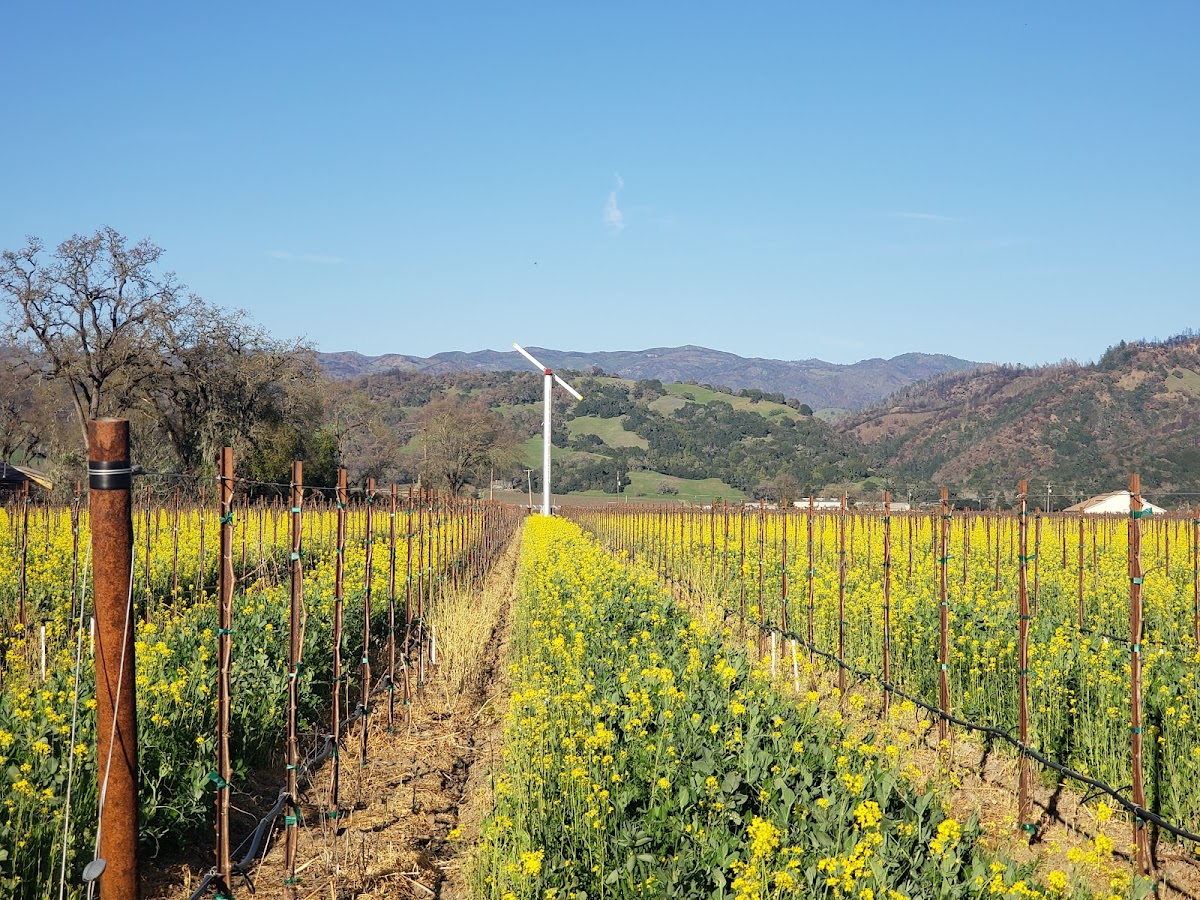 Alexander Valley AVA