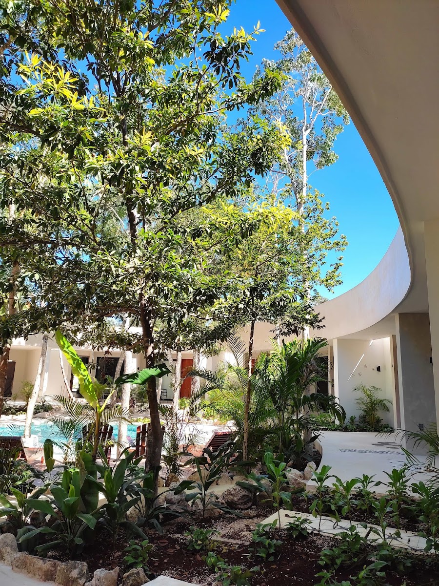 TreeTops Tulum photo 2
