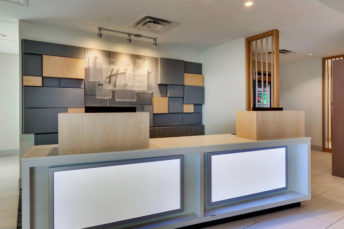 Holiday Inn Express & Suites Dawsonville by IHG photo 2