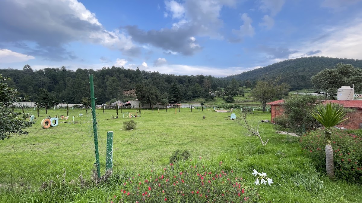 Cuarto huamantla photo 2