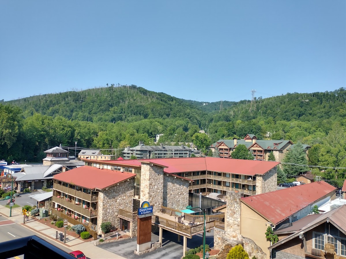 Black Bear Inn & Suites photo 2