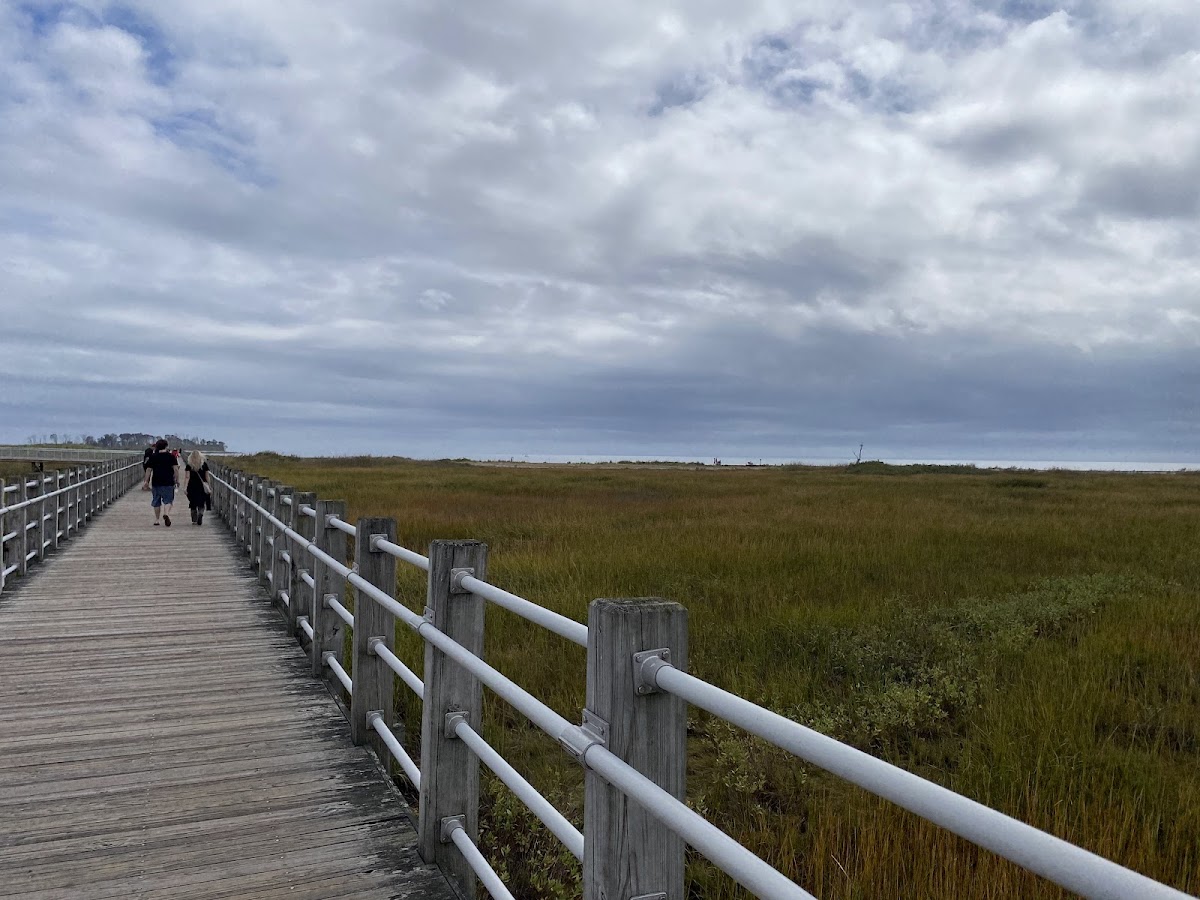 Silver Sands State Park