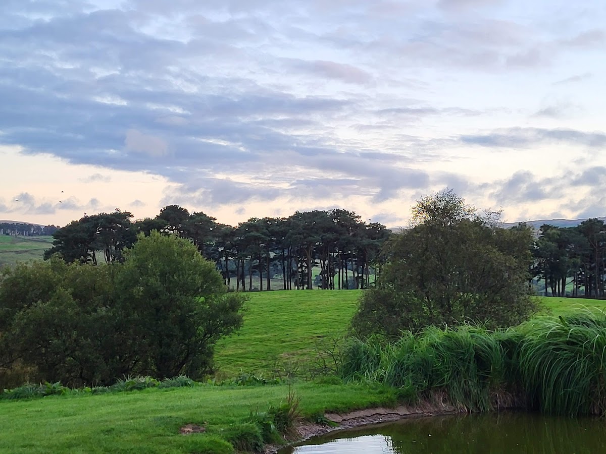 Westmorland Hotel photo 3