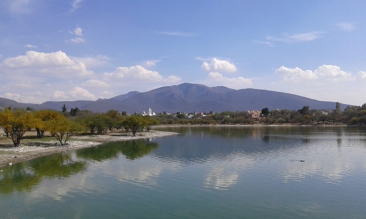 Presa Centenario