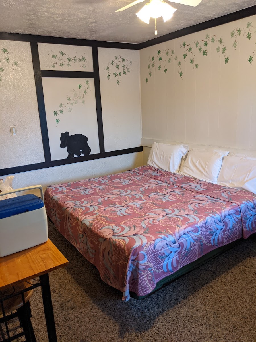 Blue Ridge Inn photo 2