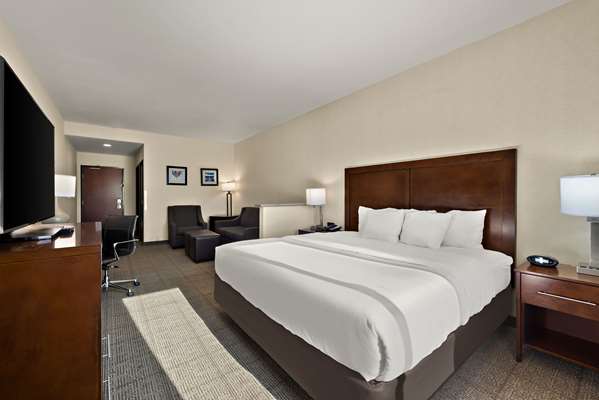 Comfort Inn & Suites Airport Convention Center photo 2