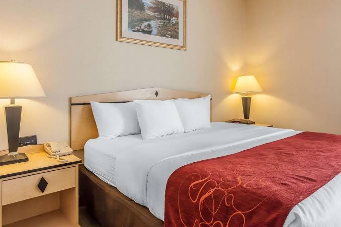 Comfort Inn & Suites Airport Convention Center photo 3