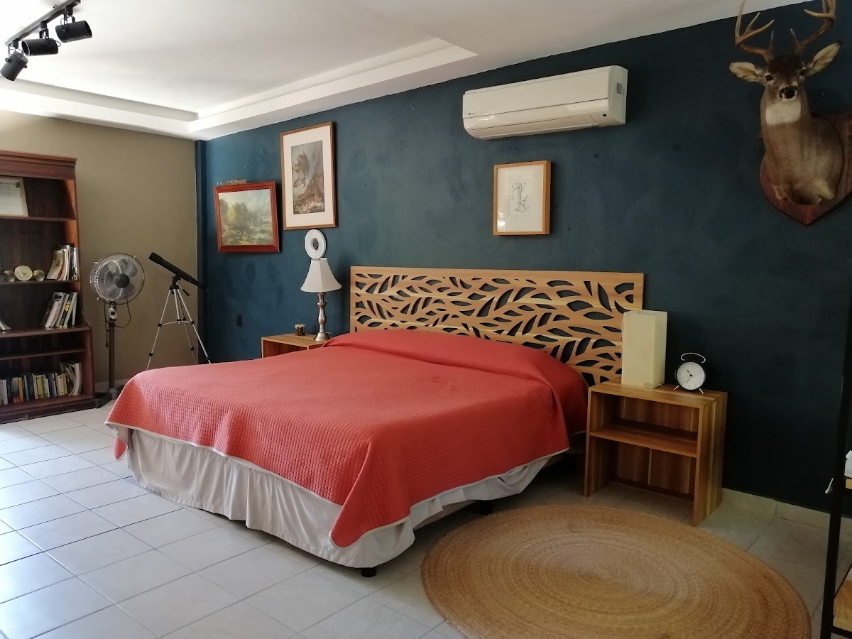 Hotel Casa Nueva photo 2