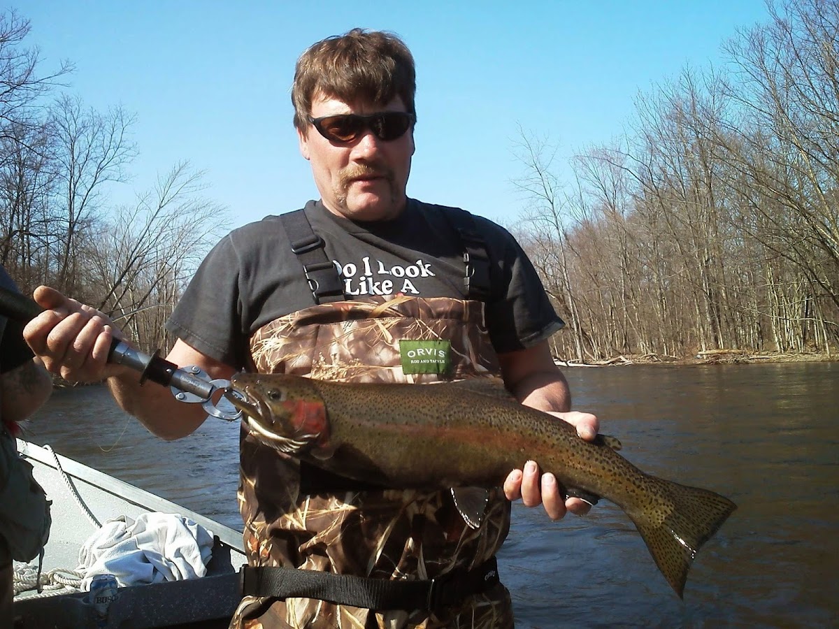 Douglaston Salmon Run photo 3