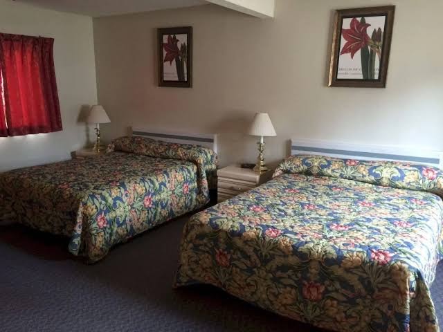 Pals Motel photo 3