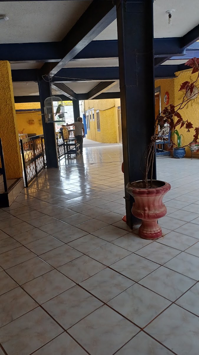 Hotel Palacio Del Sol photo 3