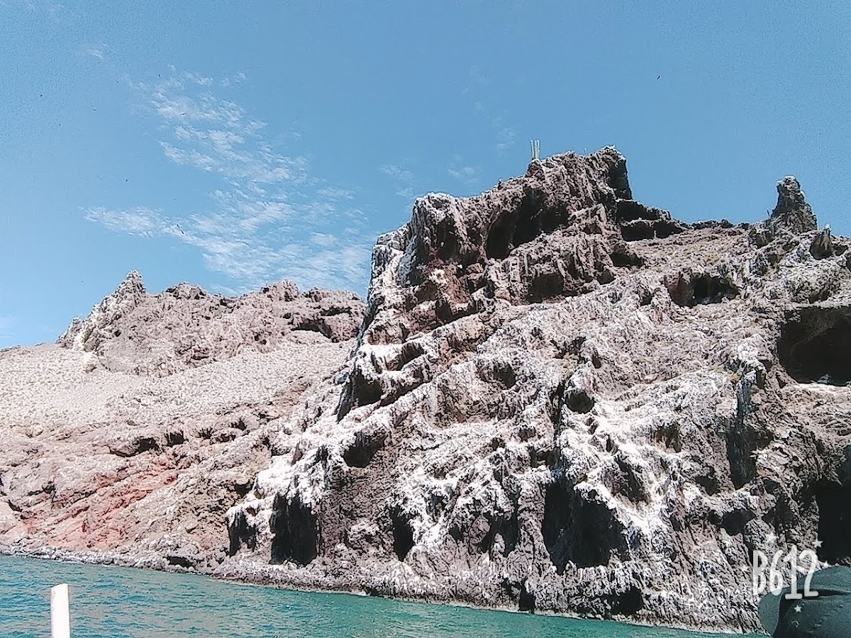 Isla Alcatraz