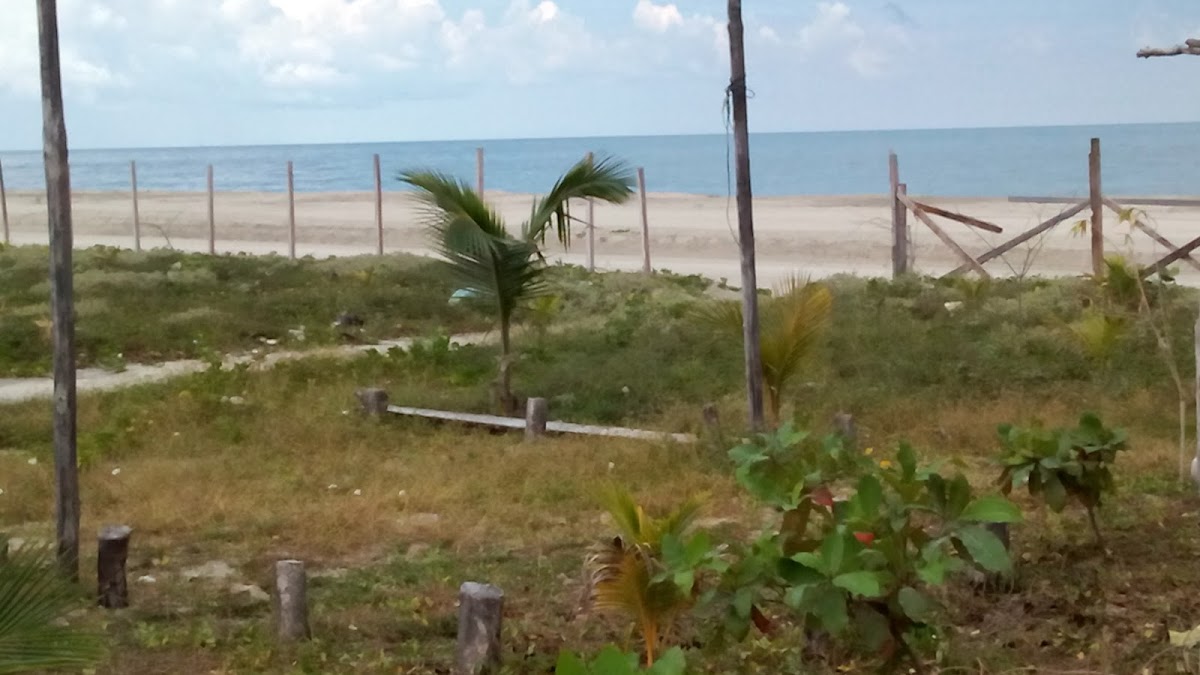 Hotel Playa Dorada photo 2
