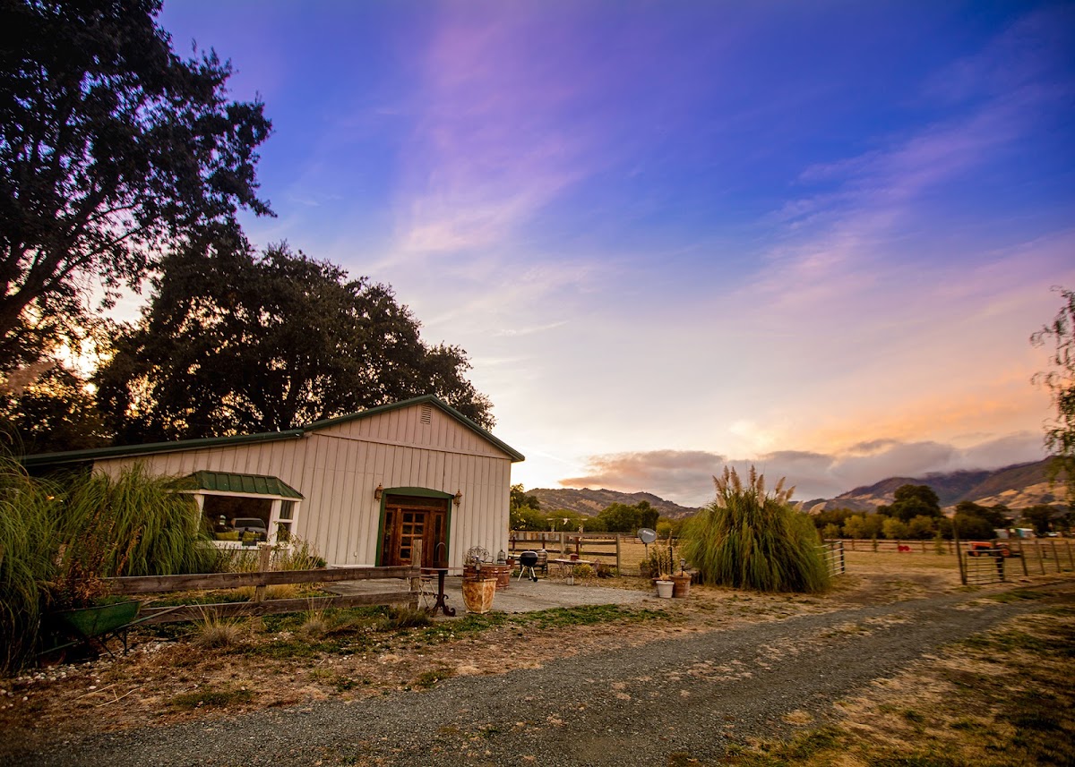 Soul Whispering Ranch photo 2