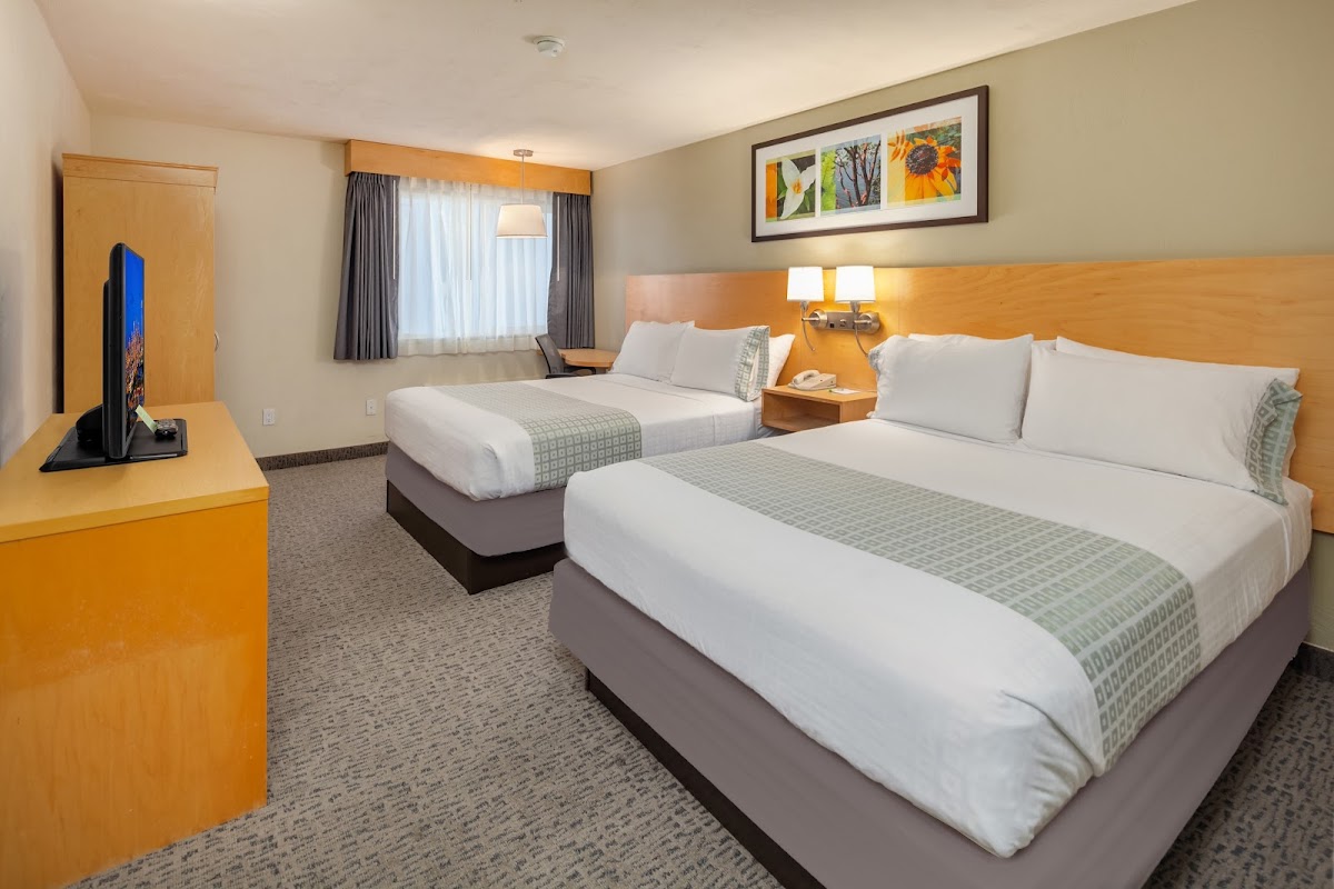 Hotel Nexus Seattle photo 2