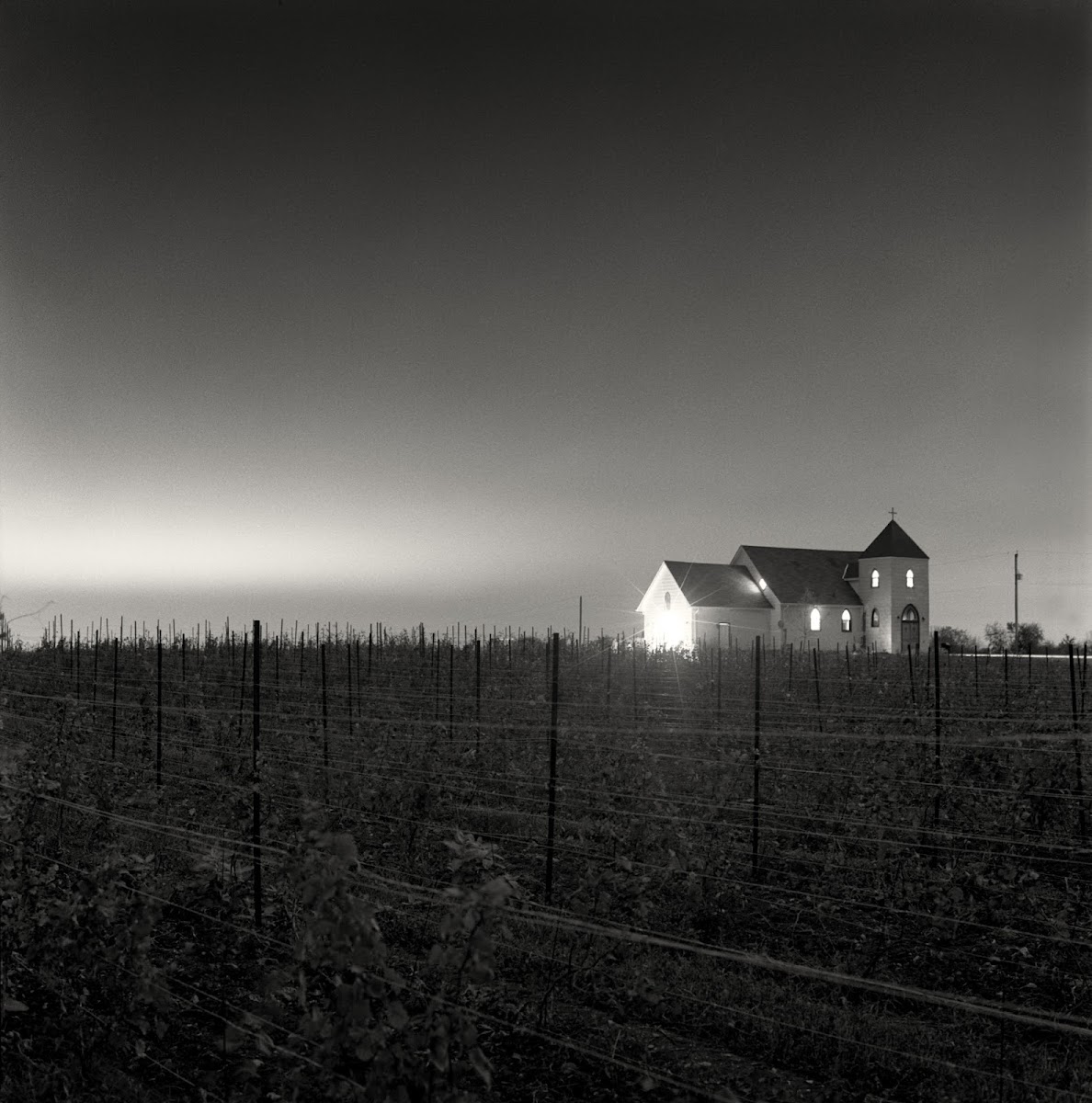 Closson Chase Vineyards
