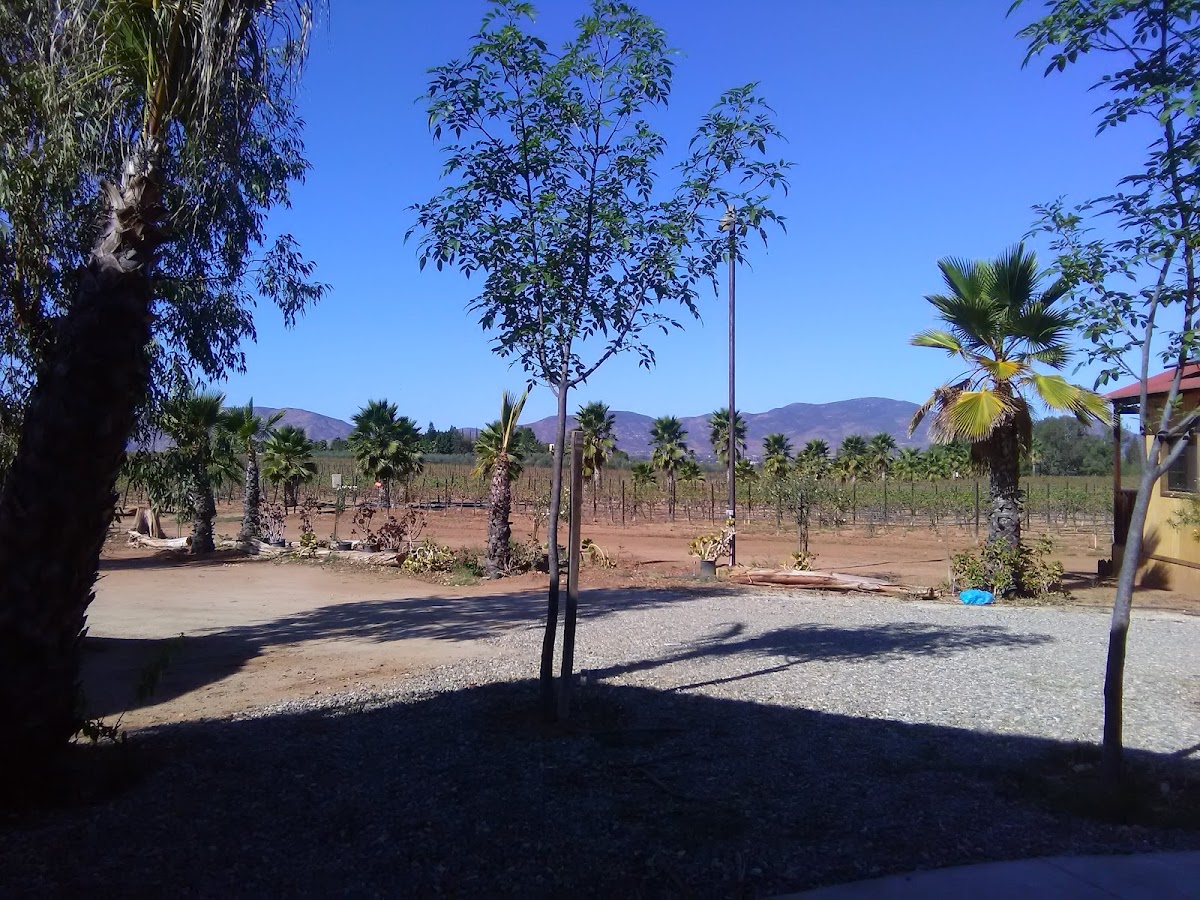 Rancho Maria Teresa photo 3
