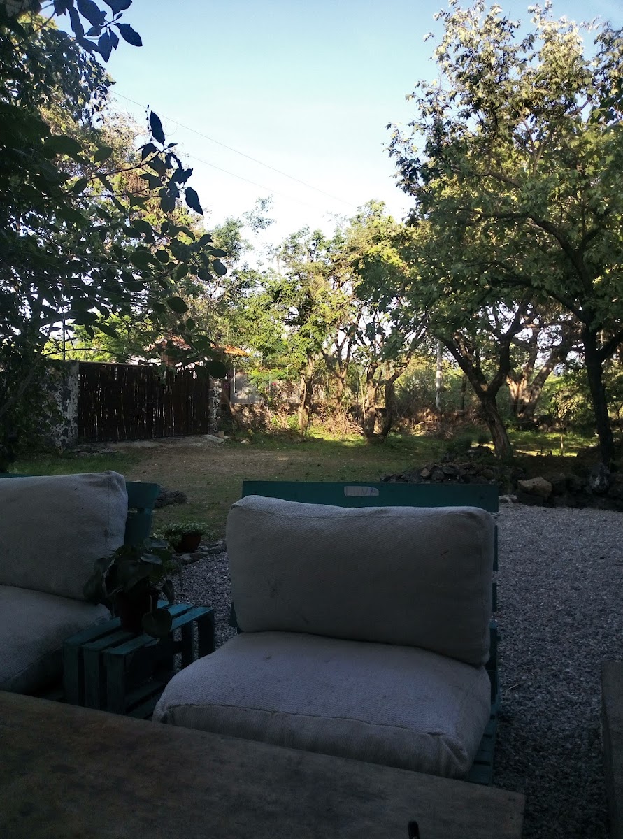 Las Mariposas photo 2