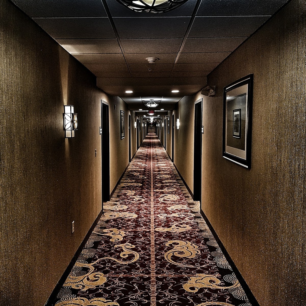 Homewood Suites by Hilton Bridgewater/Branchburg photo 3