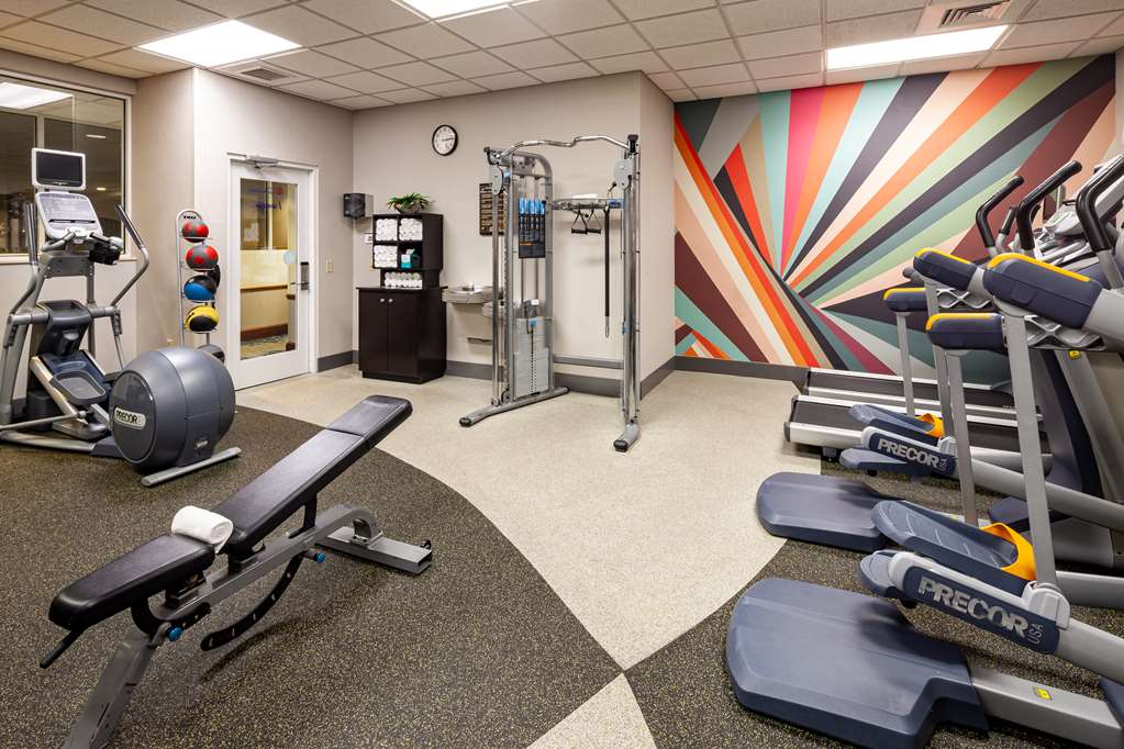 Hilton Garden Inn Chicago OHare Airport photo 3