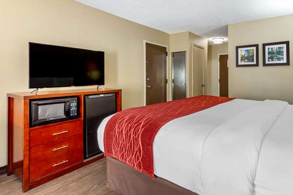 Comfort Inn Fort Mill Amusement Park at Carowinds Blvd photo 3