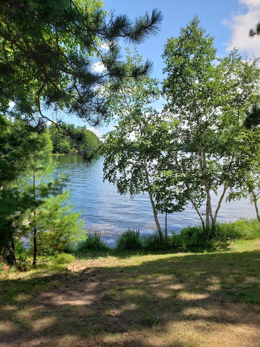 Pine Hill Resort photo 2