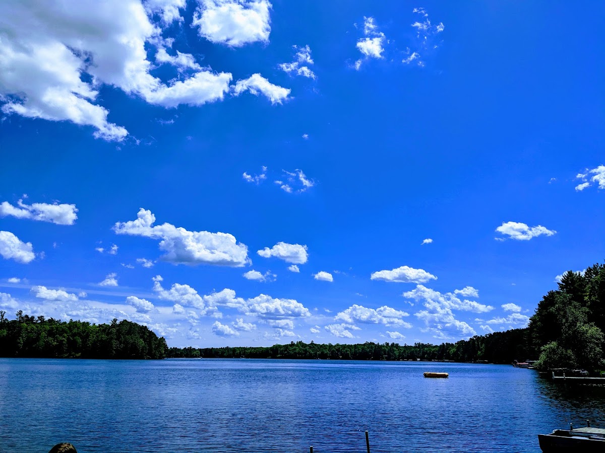 Pine Hill Resort photo 3