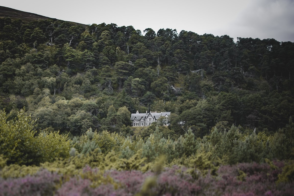 Glenfeshie Lodge photo 2