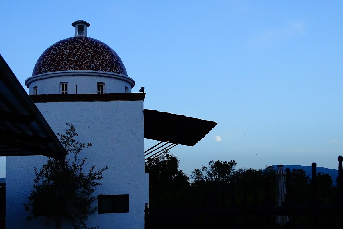 La Moraleda Resort & Garden photo 3