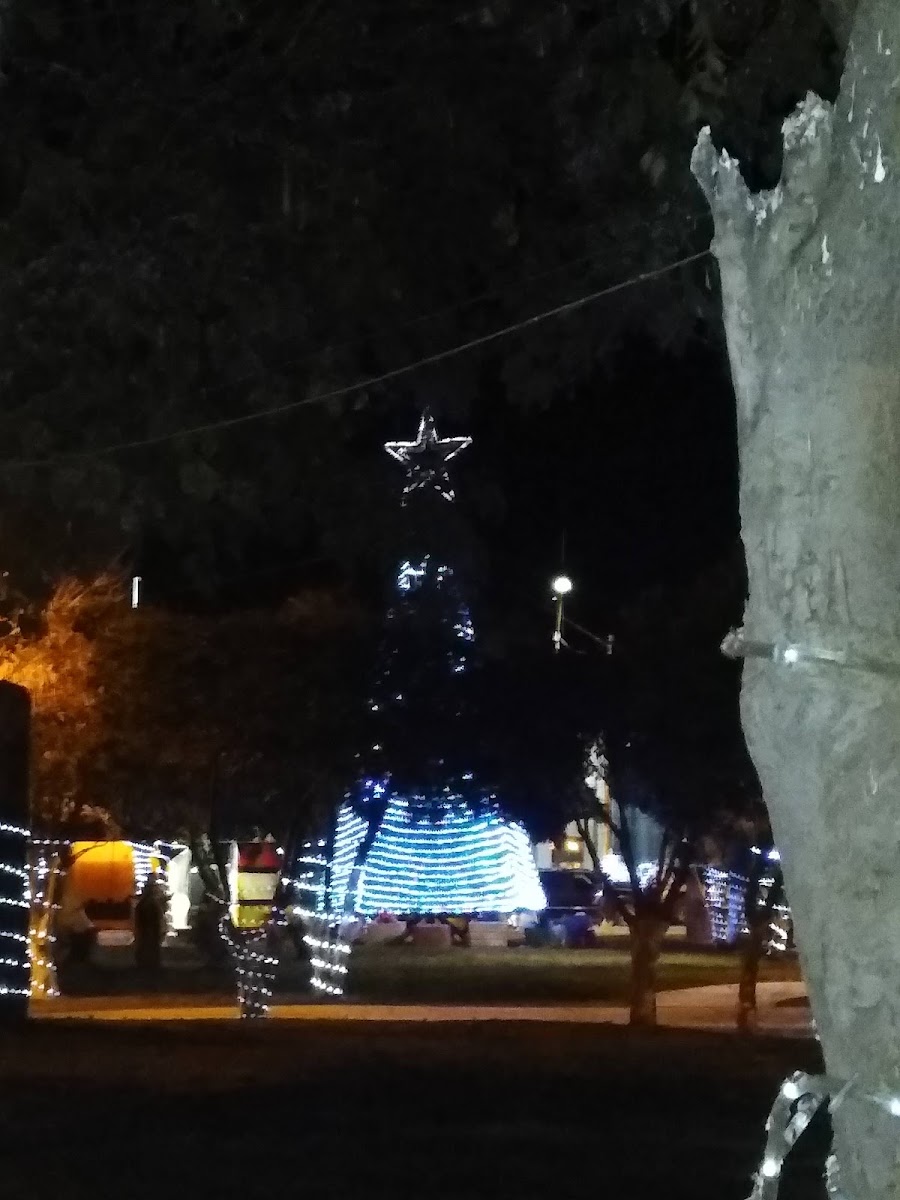 Posada Real photo 3