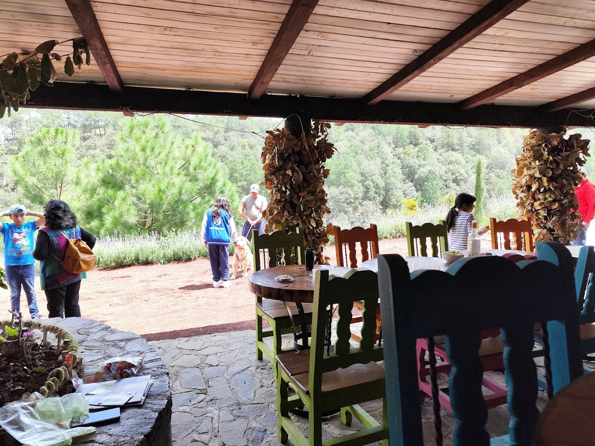 Glamping Tepepan photo 3