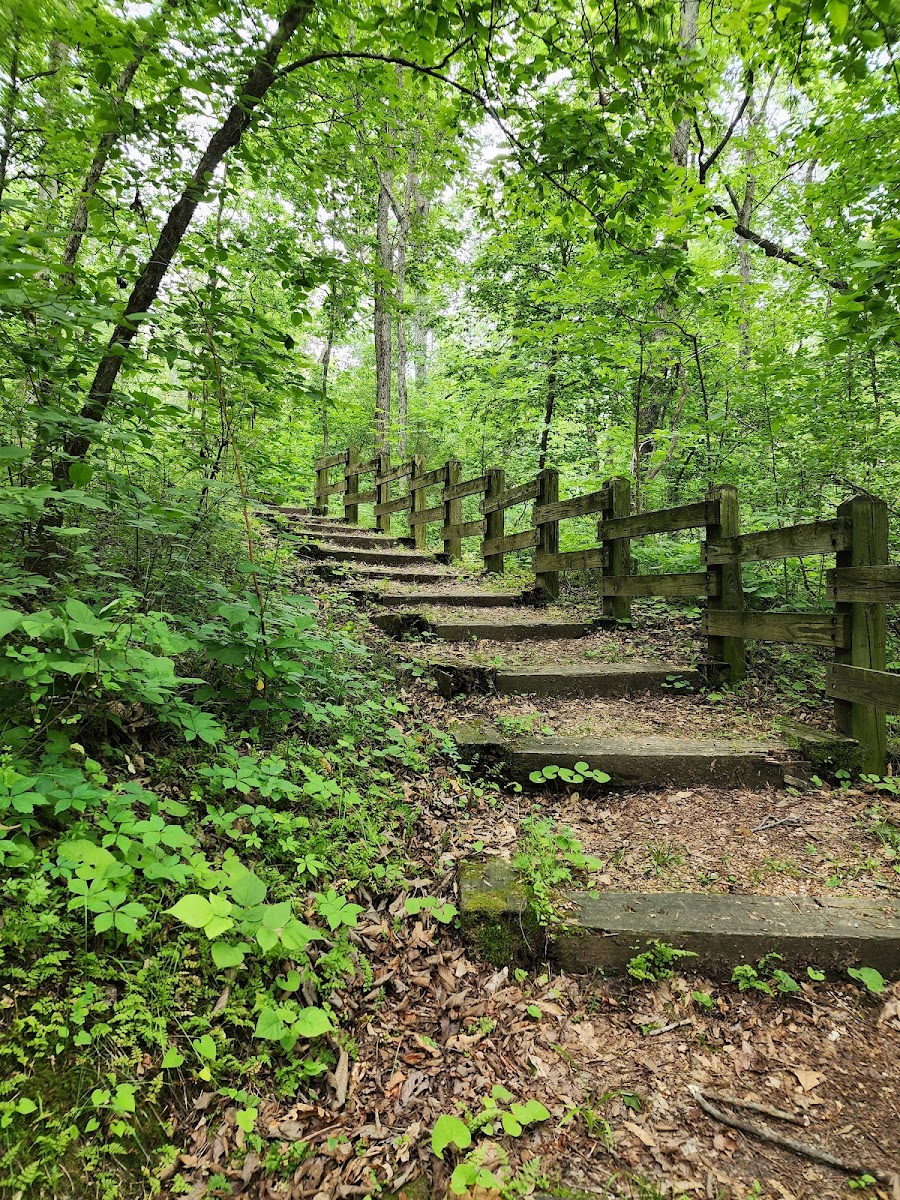 Boone's Lick State Historic Site
