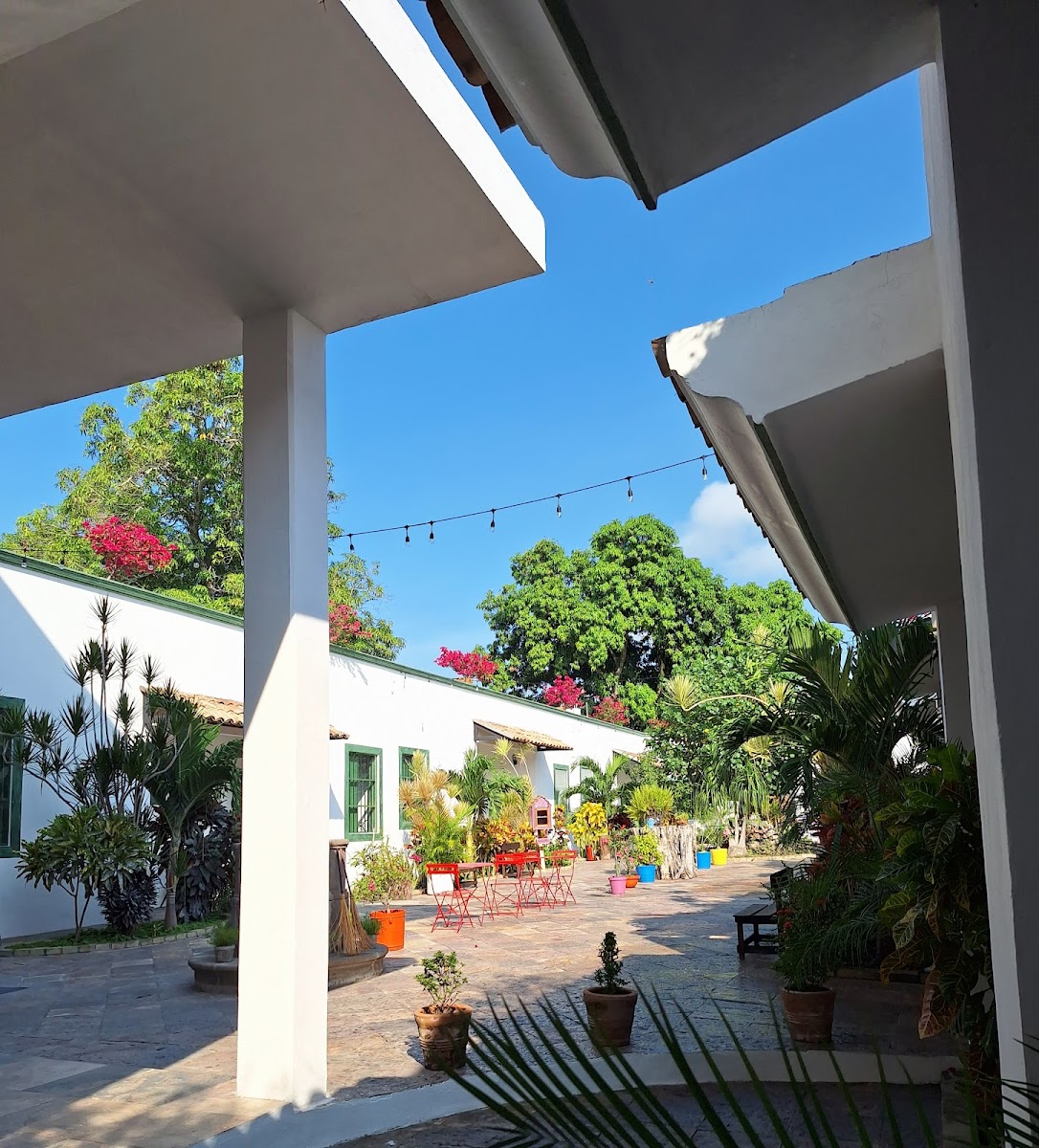 Hotel La Casa del Árbol photo 3