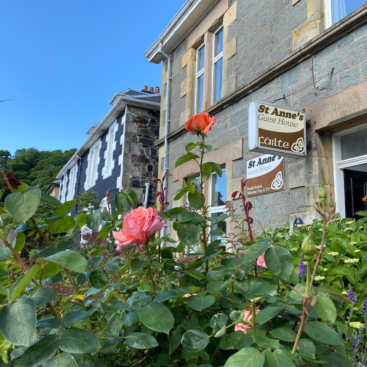 Arbour Guest house