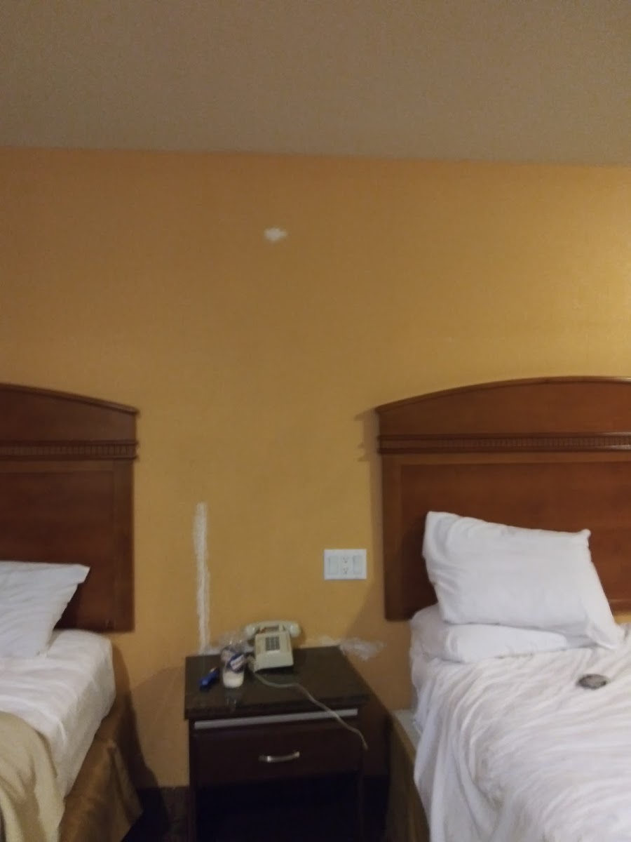 Court Yard Inn photo 2