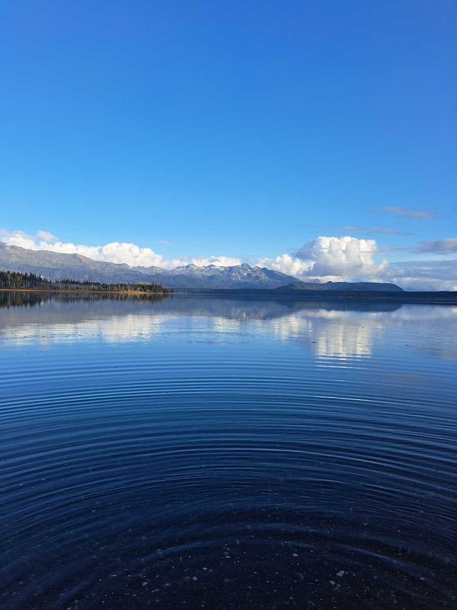 Yakutat Lodge photo 3