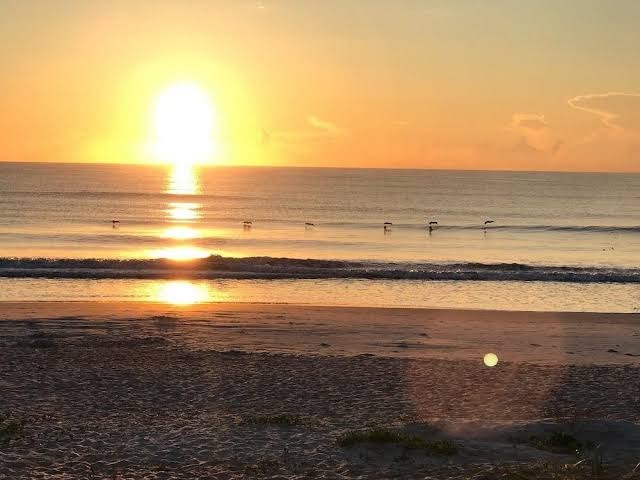 Ocean Mist Motel photo 3