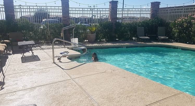 Comfort Suites Glendale - State Farm Stadium Area photo 3