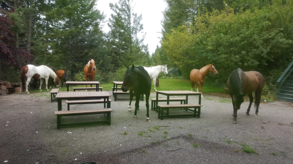 Spruce Hill Resort & Spa photo 3